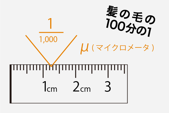 髪の毛の100分の1